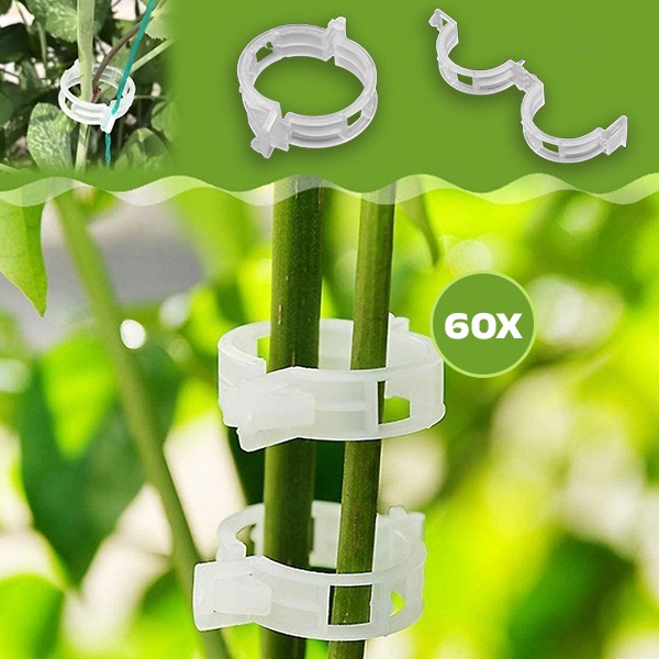 PLANTCLIP - Image 5