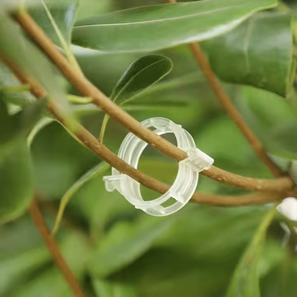 PLANTCLIP - Image 6