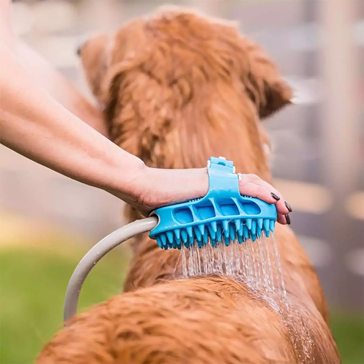 PawBath, πολυλειτουργική βούρτσα μασάζ για το μπάνιο των κατοικίδιων - Image 8