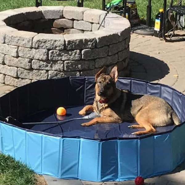 PawlyPool, μια πολυλειτουργική αναδιπλούμενη πισίνα που στήνεται χωρίς φούσκωμα - Image 3