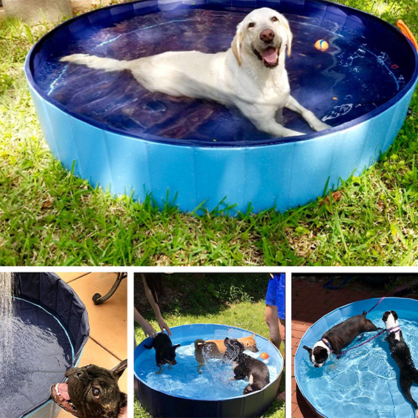 PawlyPool, μια πολυλειτουργική αναδιπλούμενη πισίνα που στήνεται χωρίς φούσκωμα - Image 5