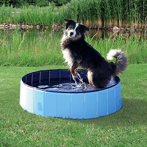 PawlyPool, μια πολυλειτουργική αναδιπλούμενη πισίνα που στήνεται χωρίς φούσκωμα - Image 10