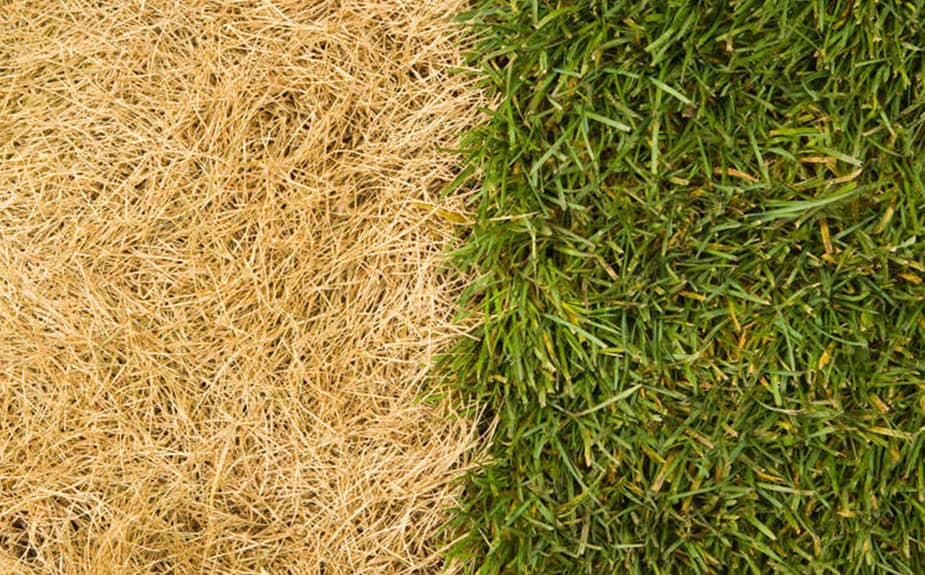 PlantPaper, το καινοτόμο χαρτί λίπασμα 3 σε 1 - Image 9