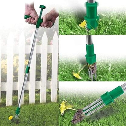 ROOTPULL - Image 2