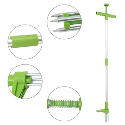 ROOTPULL - Image 4