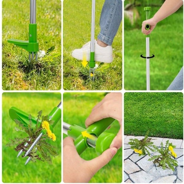 ROOTPULL - Image 6