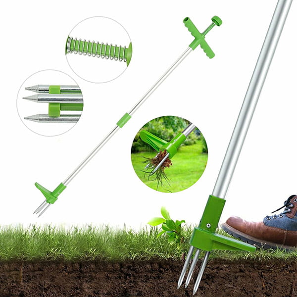 ROOTPULL - Image 7