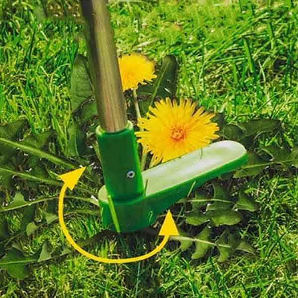 ROOTPULL - Image 8