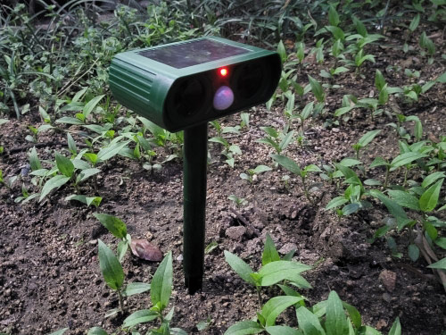 RepellentSensor, ένα ηλιακό απωθητικό για ζώα και παράσιτα κήπου - Image 10