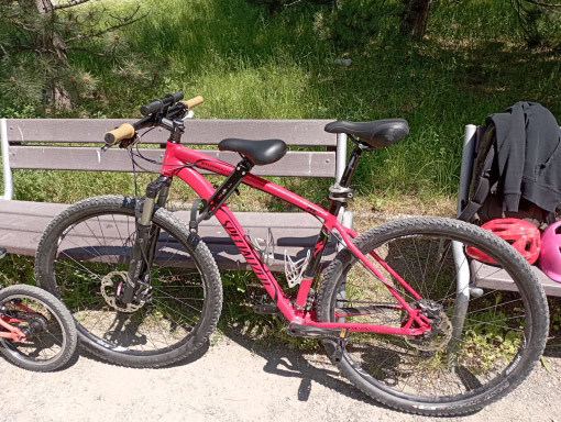 RideSeat, παιδικό κάθισμα ποδηλάτου - Image 10