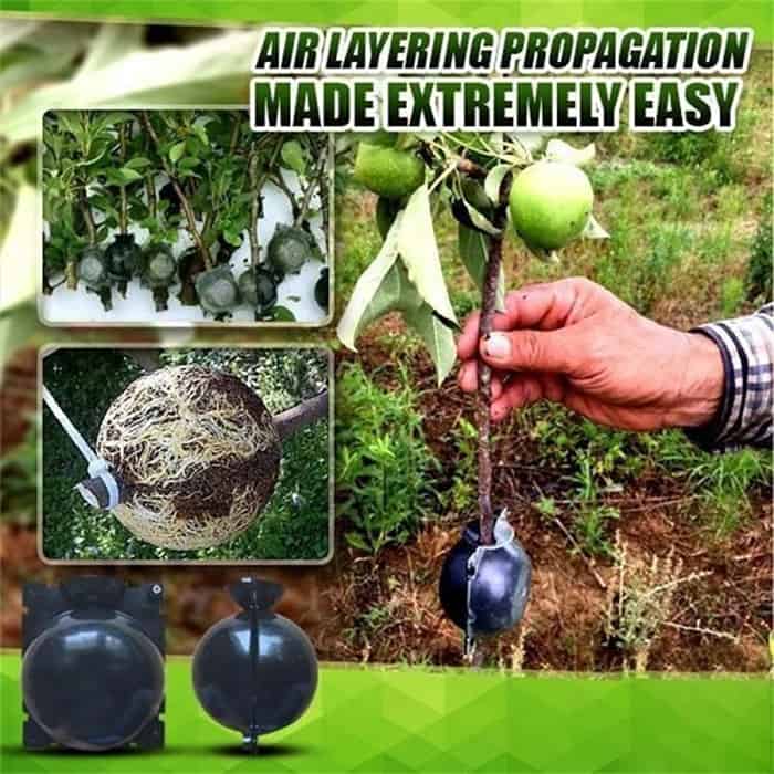 RootBall, ένα εργαλείο για επιτυχημένη αναπαραγωγή φυτών (2 τεμ.) - Image 9