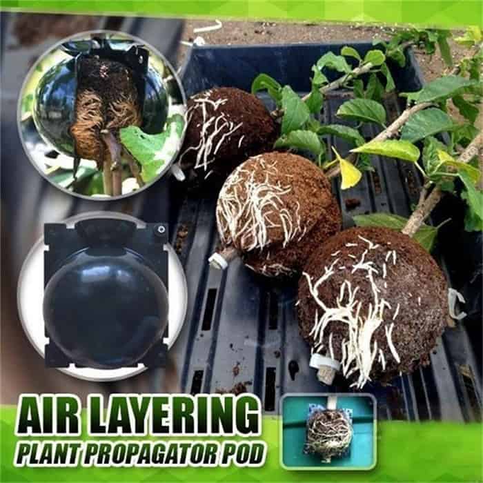 RootBall, ένα εργαλείο για επιτυχημένη αναπαραγωγή φυτών (2 τεμ.) - Image 10