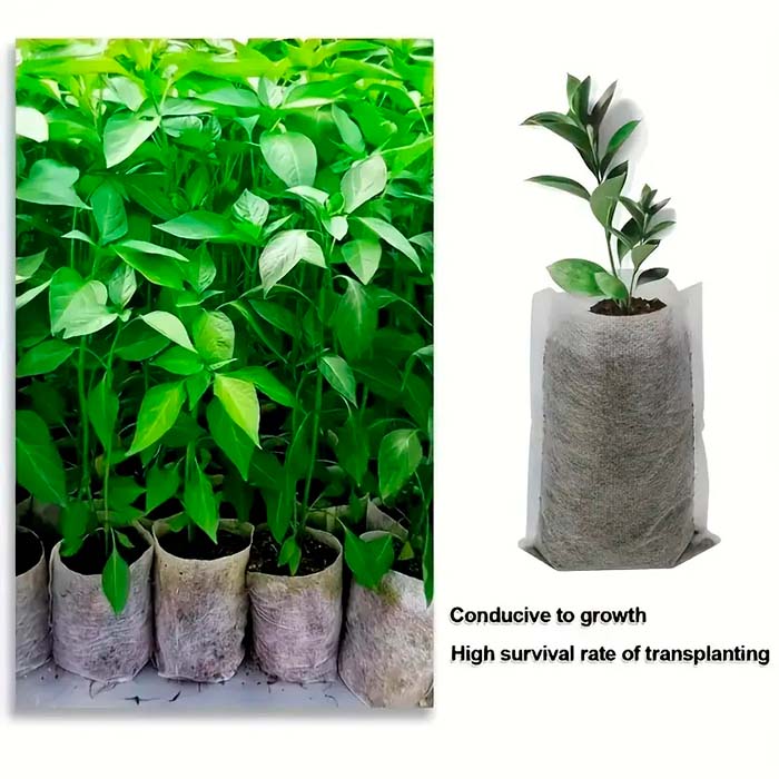 SeedBags, βιοδιασπώμενες τσάντες για φύτευση και ανάπτυξη φυτών (100 τεμάχια) - Image 4