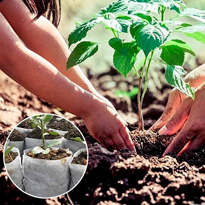 Οι τσάντες φύτευσης κάνουν τη μεταφύτευση εύκολη!