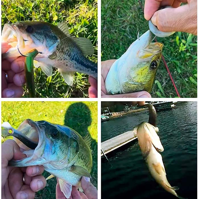 SoftLures, δόλωμα ψαριού (5 τεμάχια) - Image 6