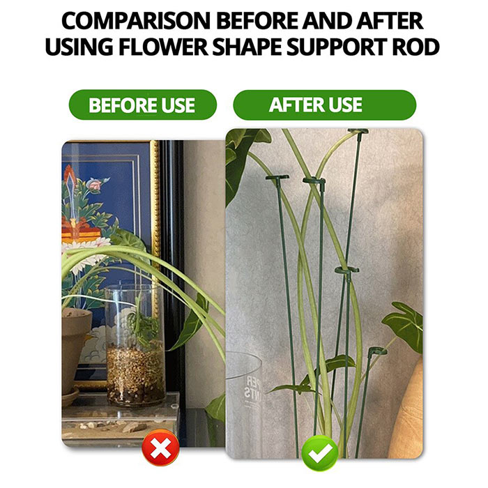 SupportPlant, υποστήριξη φυτών (10+10 ΔΩΡΕΑΝ) - Image 4