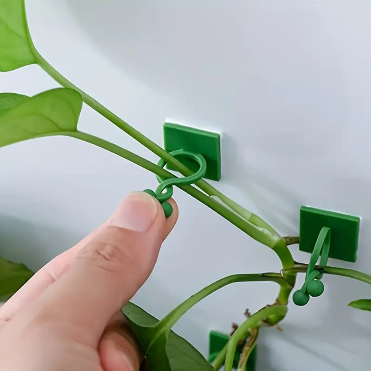 Vines, αυτοκόλλητοι υποστηρικτές φυτών και αναρριχητικών (100 κομμάτια) - Image 3