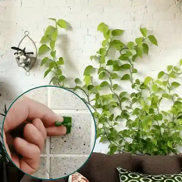 Vines, αυτοκόλλητοι υποστηρικτές φυτών και αναρριχητικών (100 κομμάτια) - Image 9
